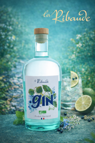 Gin Biologique 70cl